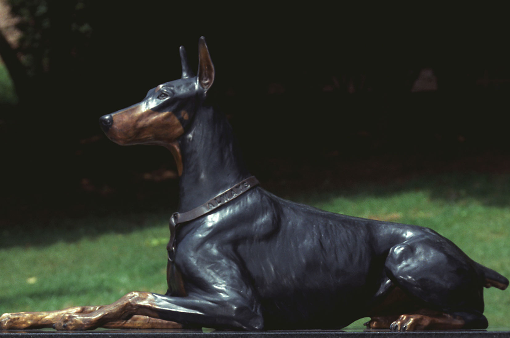 Doberman  Sculpture by Susan Bahary