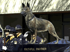Monument Faithful Partner