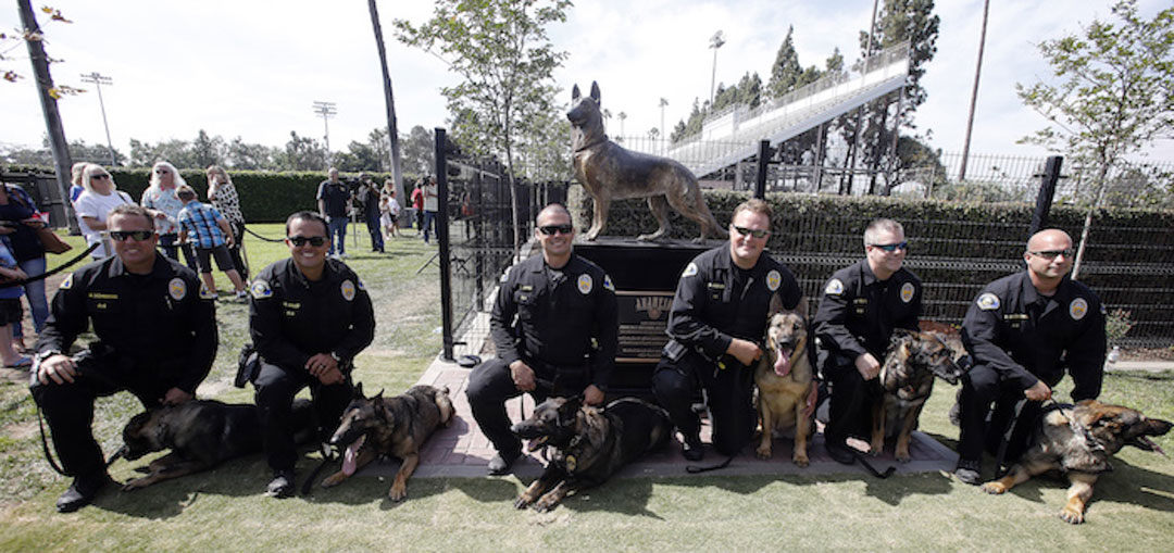 K9 Bruno, Anaheim Police Department, California