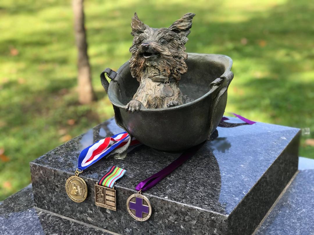 smoky-in-the-helmet-k9-k-9-war-dog-memorial-dog-portraits